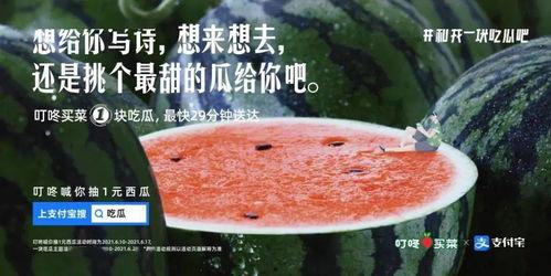 吃瓜娱乐圈的文案