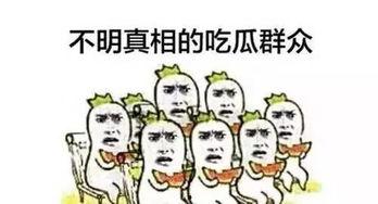吃瓜群众网络用语,揭秘娱乐圈那些事儿