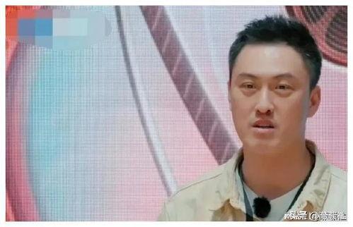 娱乐圈吃瓜爆料最新章节,最新章节揭秘明星幕后真相