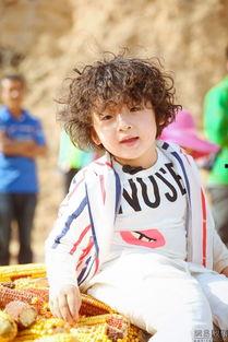 吃瓜星娱乐高艺诺,吃瓜星娱乐界的璀璨新星