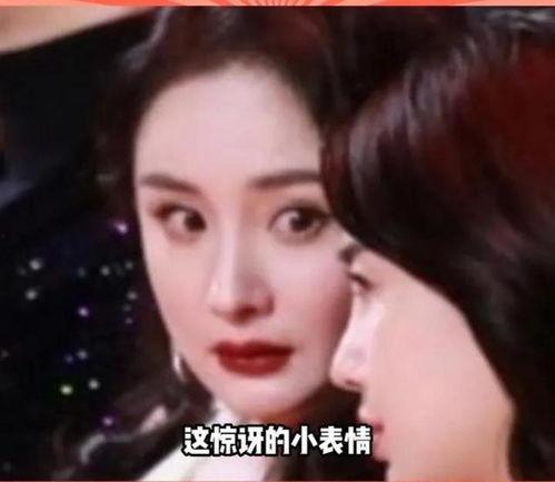 娱乐圈瓜吃,揭秘明星背后的秘密风云