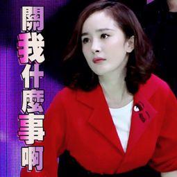 娱乐吃瓜明星探班,娱乐瓜田里的甜蜜邂逅