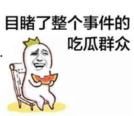娱乐吃瓜酱骂人视频下载,网络暴力与言论自由的边界